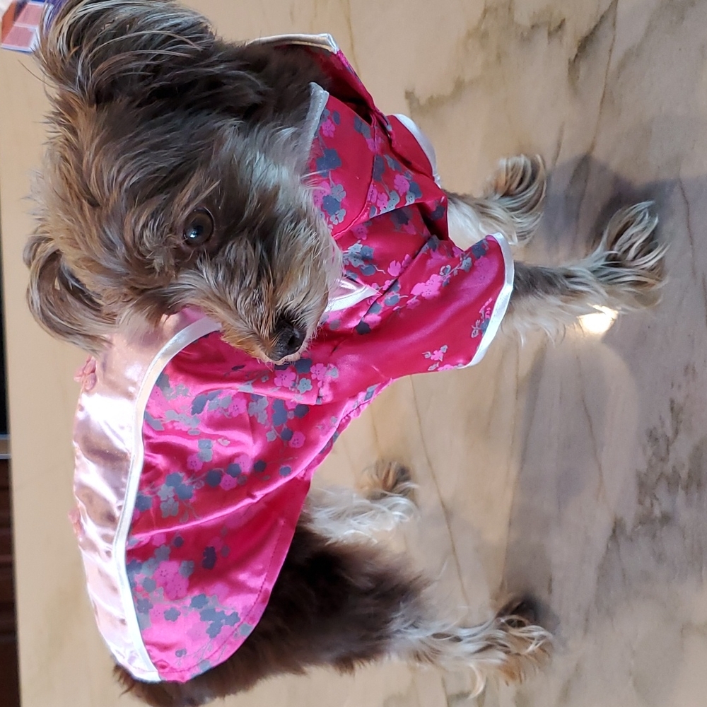 Asian inspired dog top size medium/large